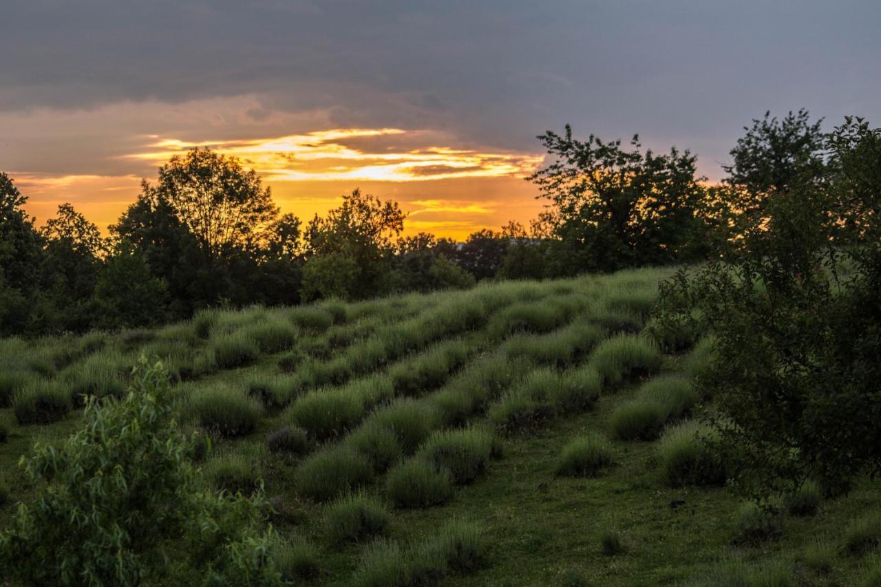 Lavanda Farm Apartmani Rakovica Exterior foto