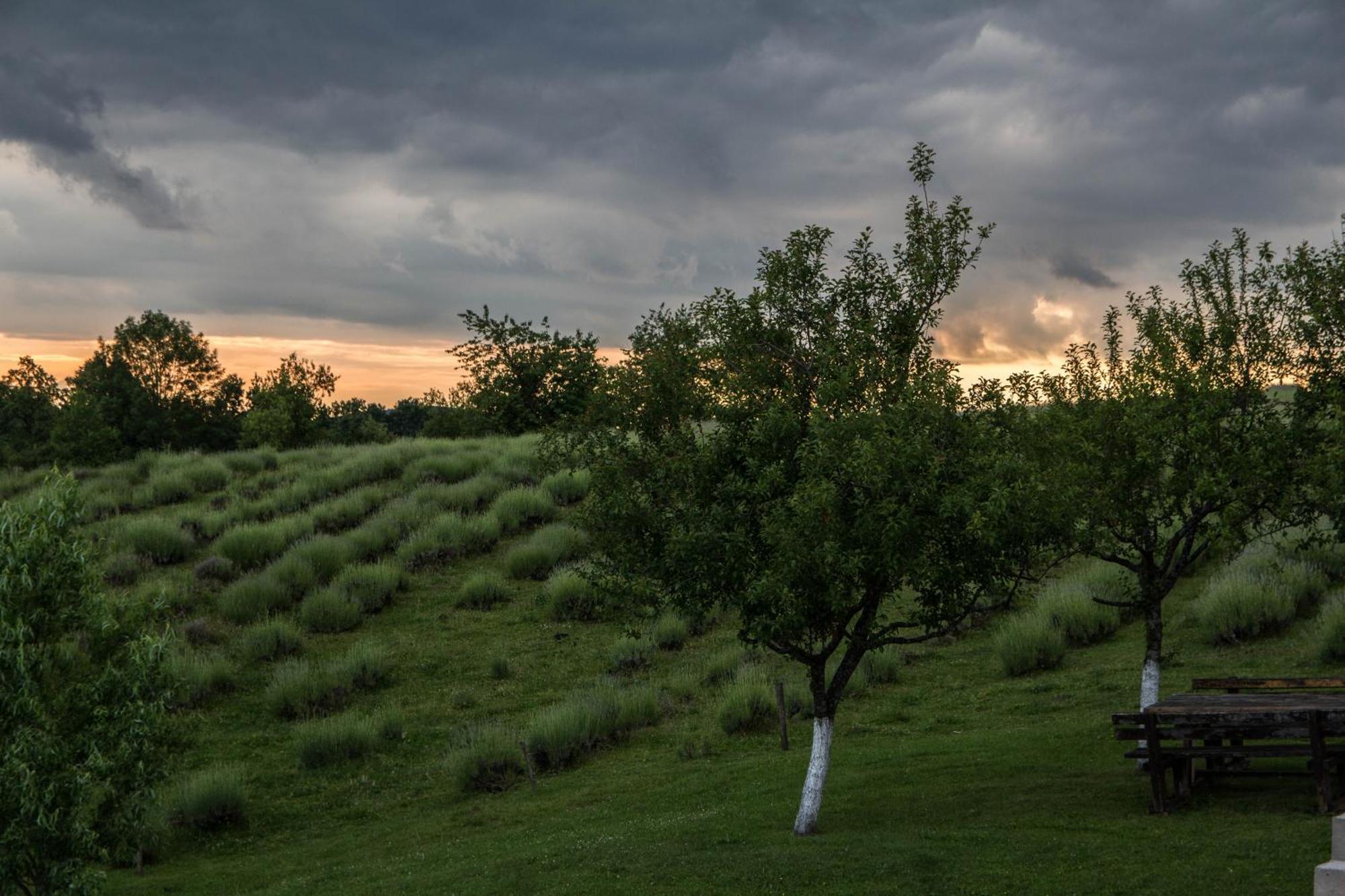 Lavanda Farm Apartmani Rakovica Exterior foto