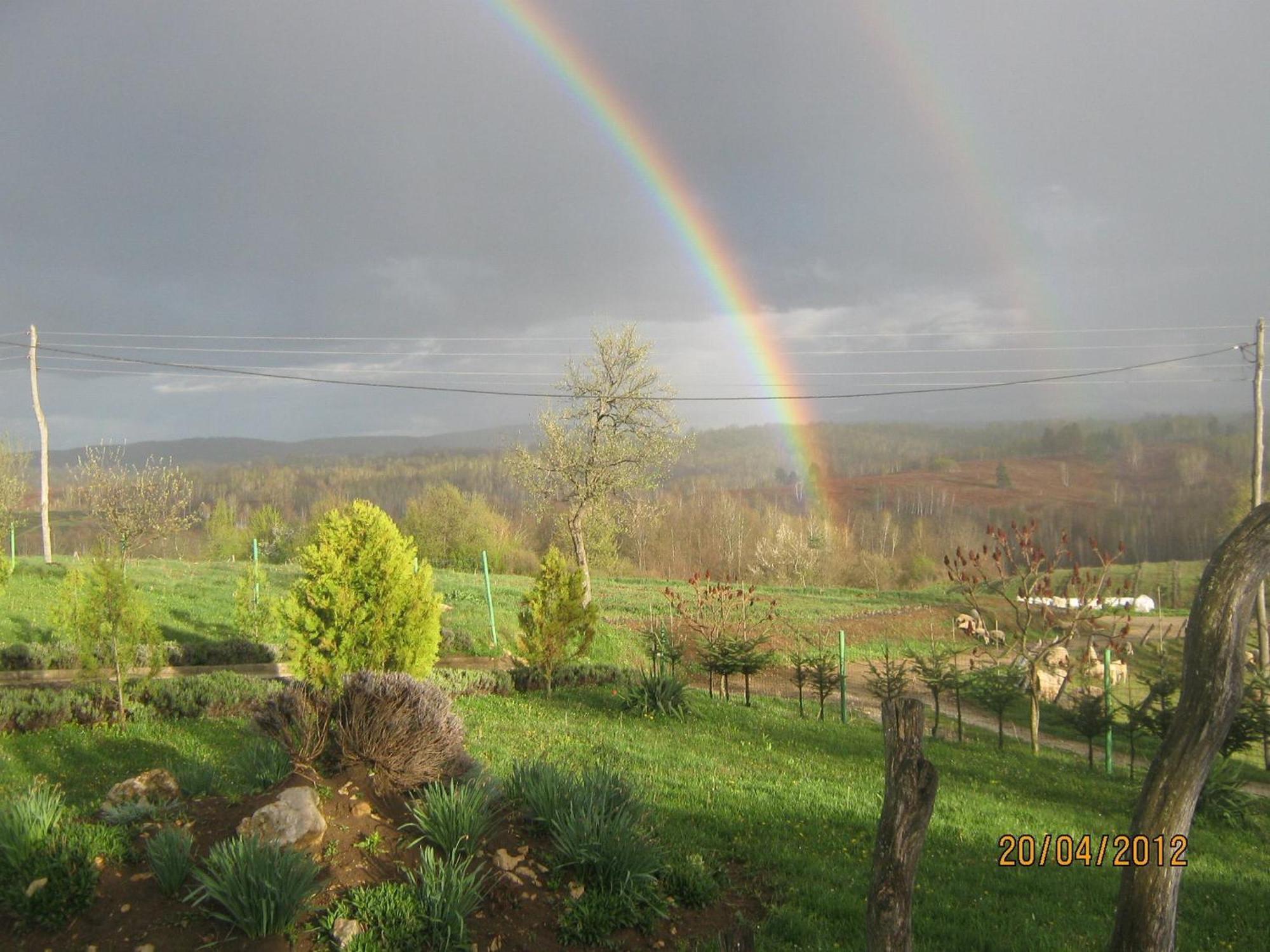 Lavanda Farm Apartmani Rakovica Exterior foto