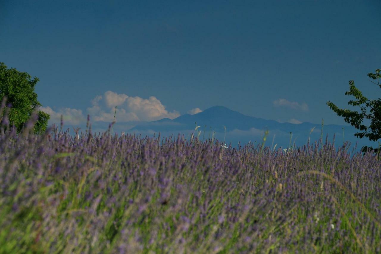 Lavanda Farm Apartmani Rakovica Exterior foto