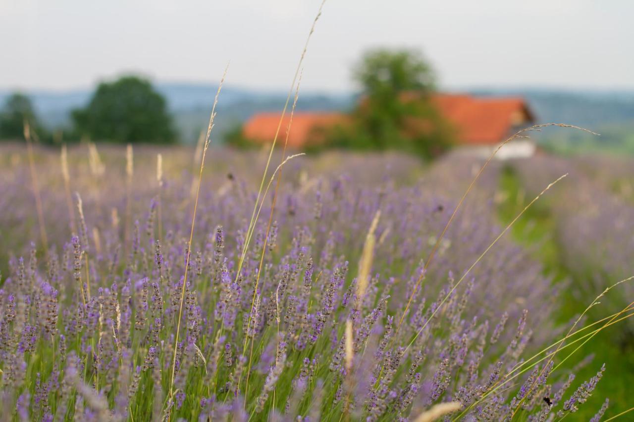 Lavanda Farm Apartmani Rakovica Exterior foto